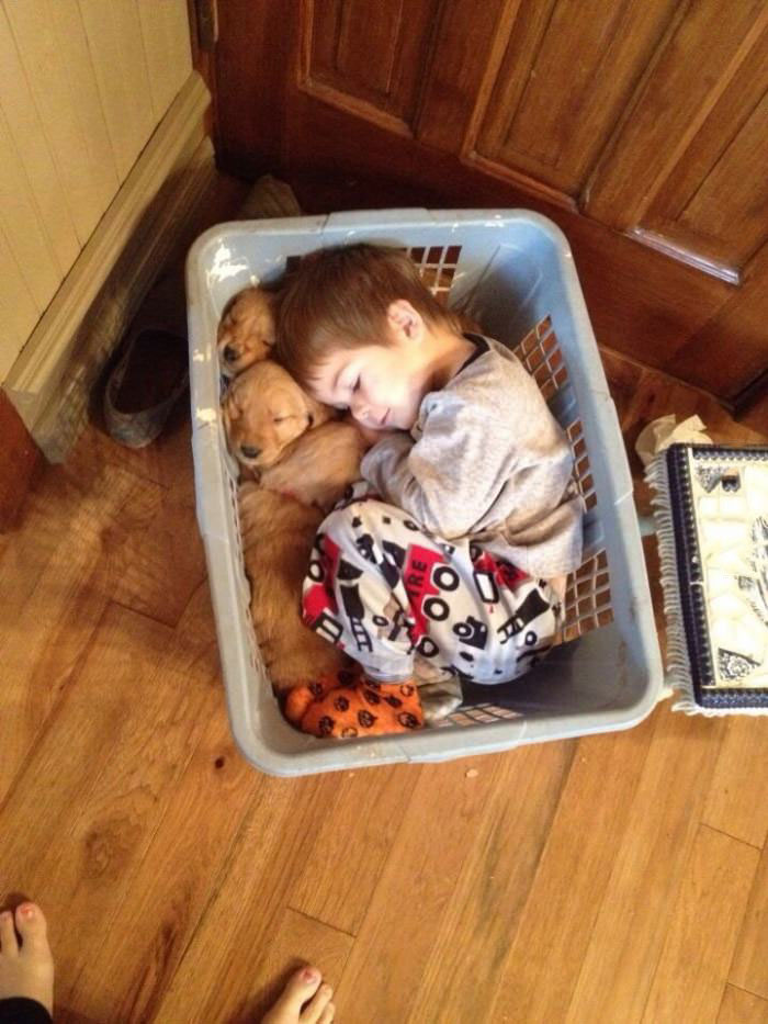 kid sleeping with puppies, cute