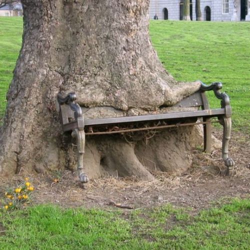 tree eating bench, on nom nom