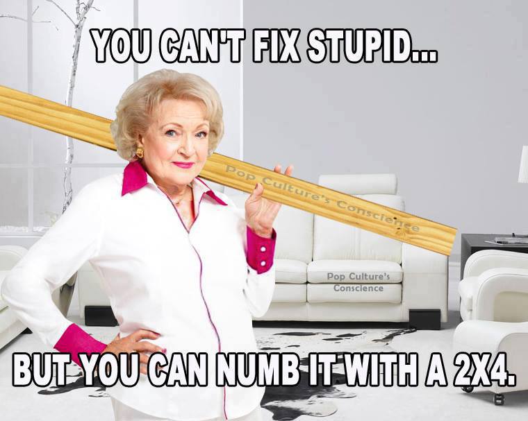 you can't fix stupid but you can numb it with a 2x4, meme