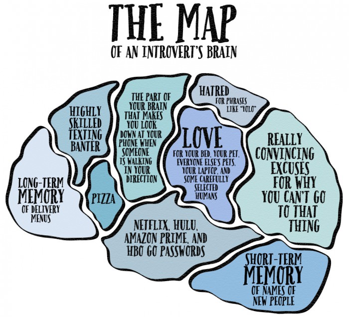 the map of an introvert's brain