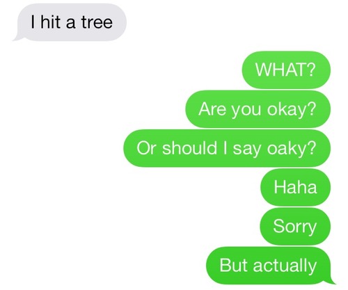 i hit a tree, wordplay, are you oaky?