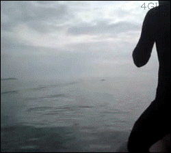 prank almost goes terribly wrong, shark, gif, guy pushes friend off of boat