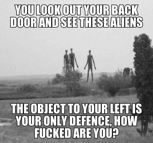 you look out your back door and see these aliens, the object to your left is your only defense, how fucked are you?, meme, game