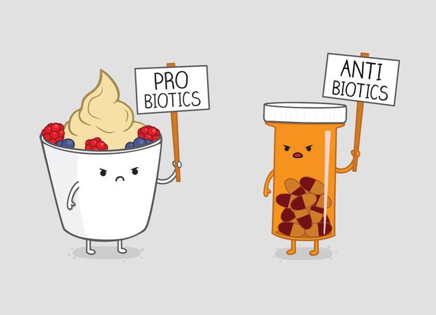 pro biotics, anti bitotics