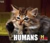 humans, cat doing the history channel, ancient aliens meme