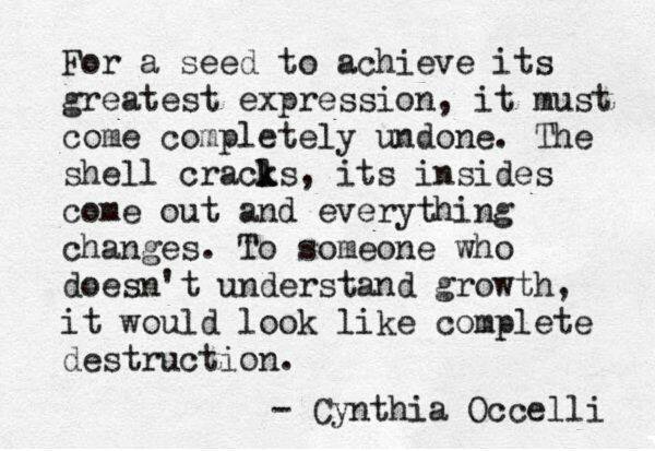 for a seed to achieve it's greatest expression it must come completely undone, the shell cracks, it's insides come out and everything changes, to someone who doesn't understand growth it would look like complete destruction, cynthia occelli, quote