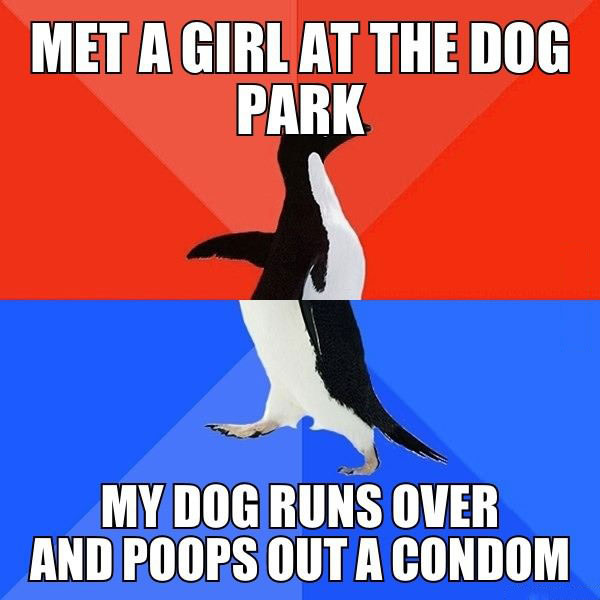 met a girl at the dog park, my dog runs over and poops out a condom, socially awkward penguin