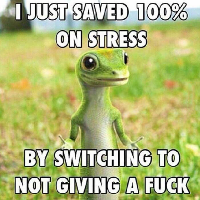 i just saved 100% on stress by switching to not giving a fuck, meme