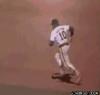 not safe at second base, tiger attacks baseball player, gif, wtf