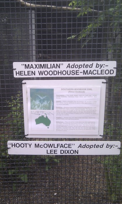 hootie mcowlface, sign, adopted by, lol, funny name