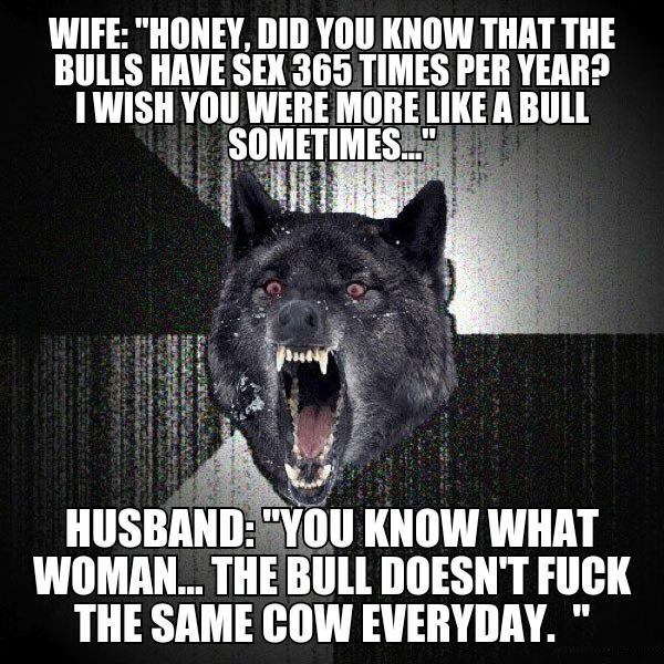 did you know that bulls have sex 365 times per year?, the bull doesn't fuck the same cow everyday, insanity wolf meme