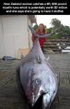 new zealand woman catches a 9ft 909 pound bluefin tuna which is potentially worth $2 million and she says she's going to have it stuffed