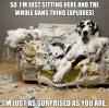 so i'm just sitting here and the whole dang thing explodes!, i'm just as surprised as you are, meme, bad dog, dalmation