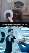 there is an aquarium where you can shake hands with otters, star trek villain
