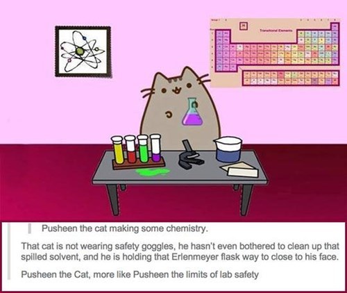 pusheen the cat is pusheen the limits of lab safety, facebook meme