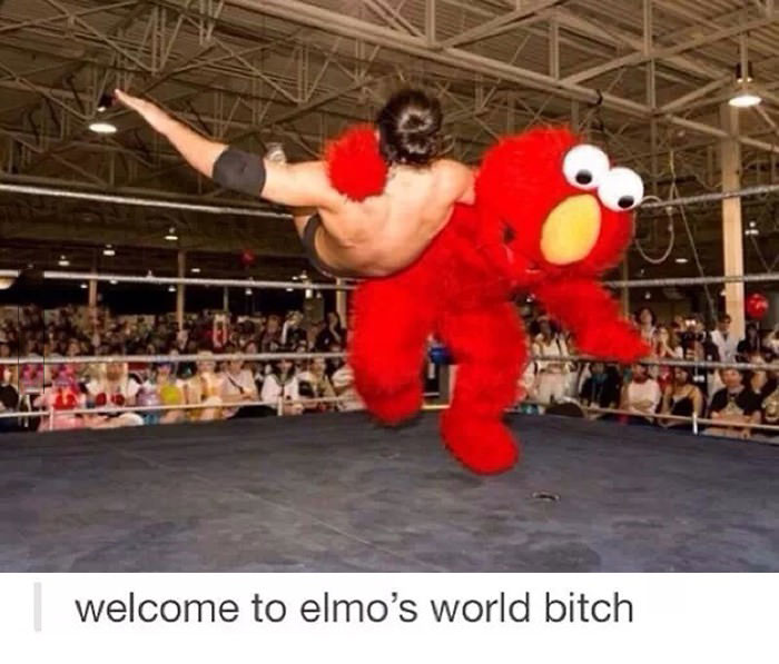 welcome to elmo's world bitch