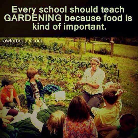 every school should teach gardening because food is kind of important