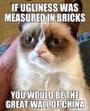 if ugliness was measured in bricks you would be the great wall of china, grumpy cat meme