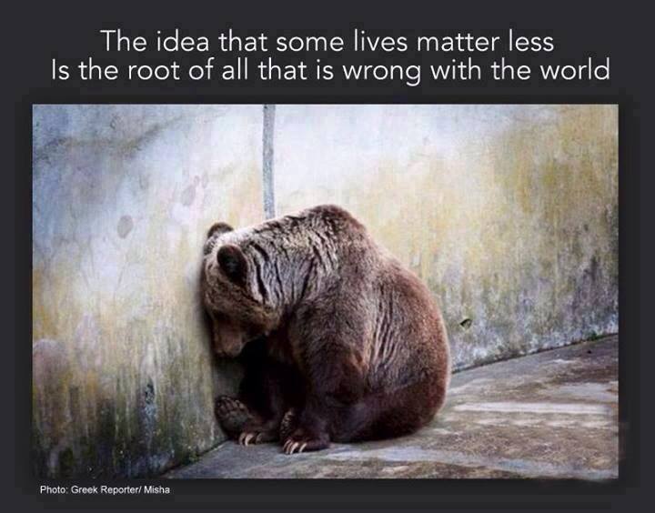 the idea that some lives matter less is the root of all that is wrong with the world