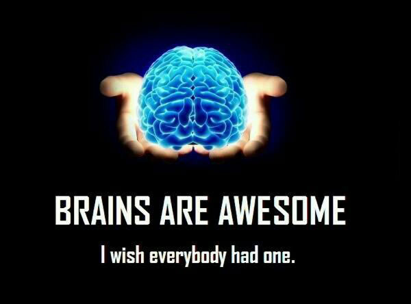 brains are awesome i wish everybody had one