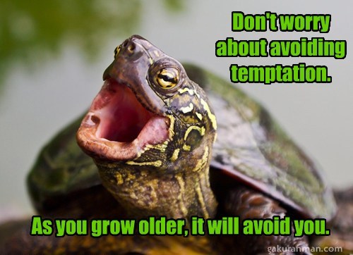 don't worry about avoiding temptation, as you grow older it will avoid you