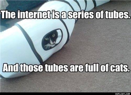 the internet is a series of tubes and those tubes are full of cats