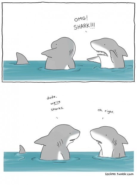 omg a shark!, comic