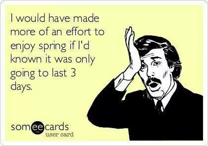 i would have made more of an effort to enjoy spring if i'd known it was only going to last 3 days, ecard