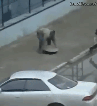 man lifts sewer cover then falls in, fail