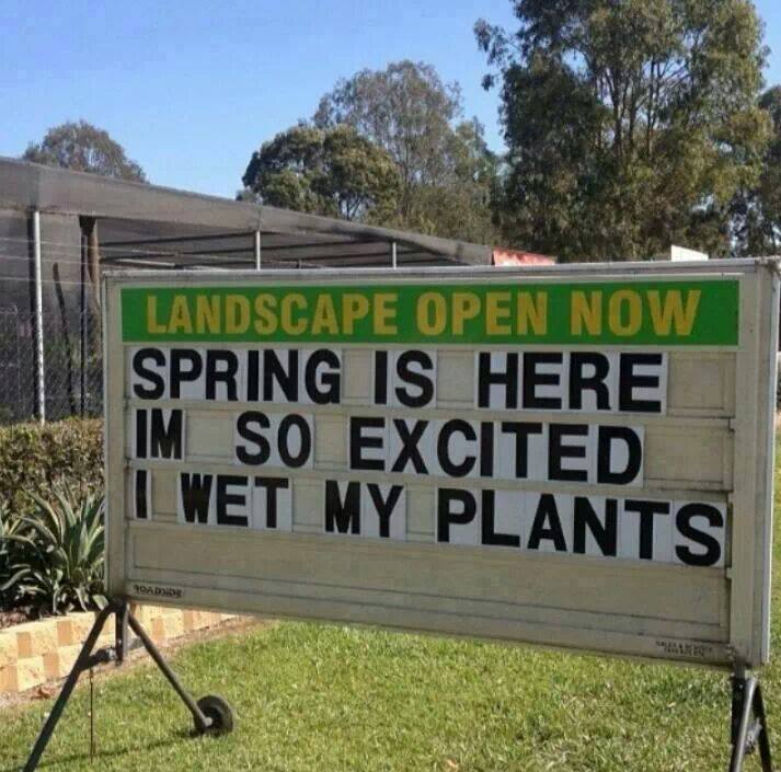 spring is here i'm so excited i wet my plants