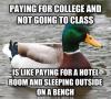 paying for college and not going to class is like paying for a hotel room and sleeping outside on a bench, actual advice mallard, meme