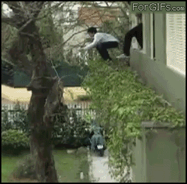 guy tries to climb down tree but gravity wins, fail, ouch