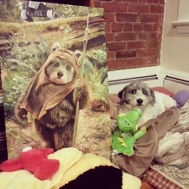 ewok painting of a dog