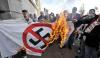 anti nazi flag burning protest, wait what?