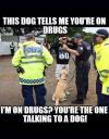 this dog tells me you're on drugs, i'm on drugs? you're the one talking to a dog, meme, lol