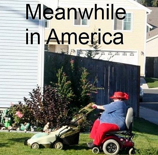 meanwhile in america, lazy