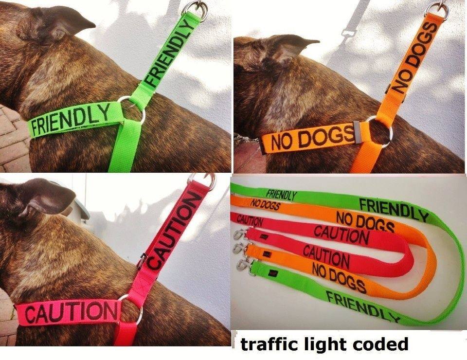 labeled dog collars, product, win
