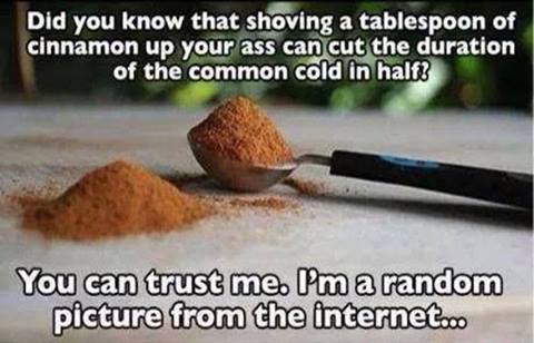 did you know that shoving a tablespoon of cinnamon up your ass can cut the duration of the common cold in half?, you can trust me, i'm a random picture from the internet, meme