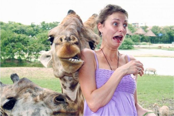girl and giraffe make the same face