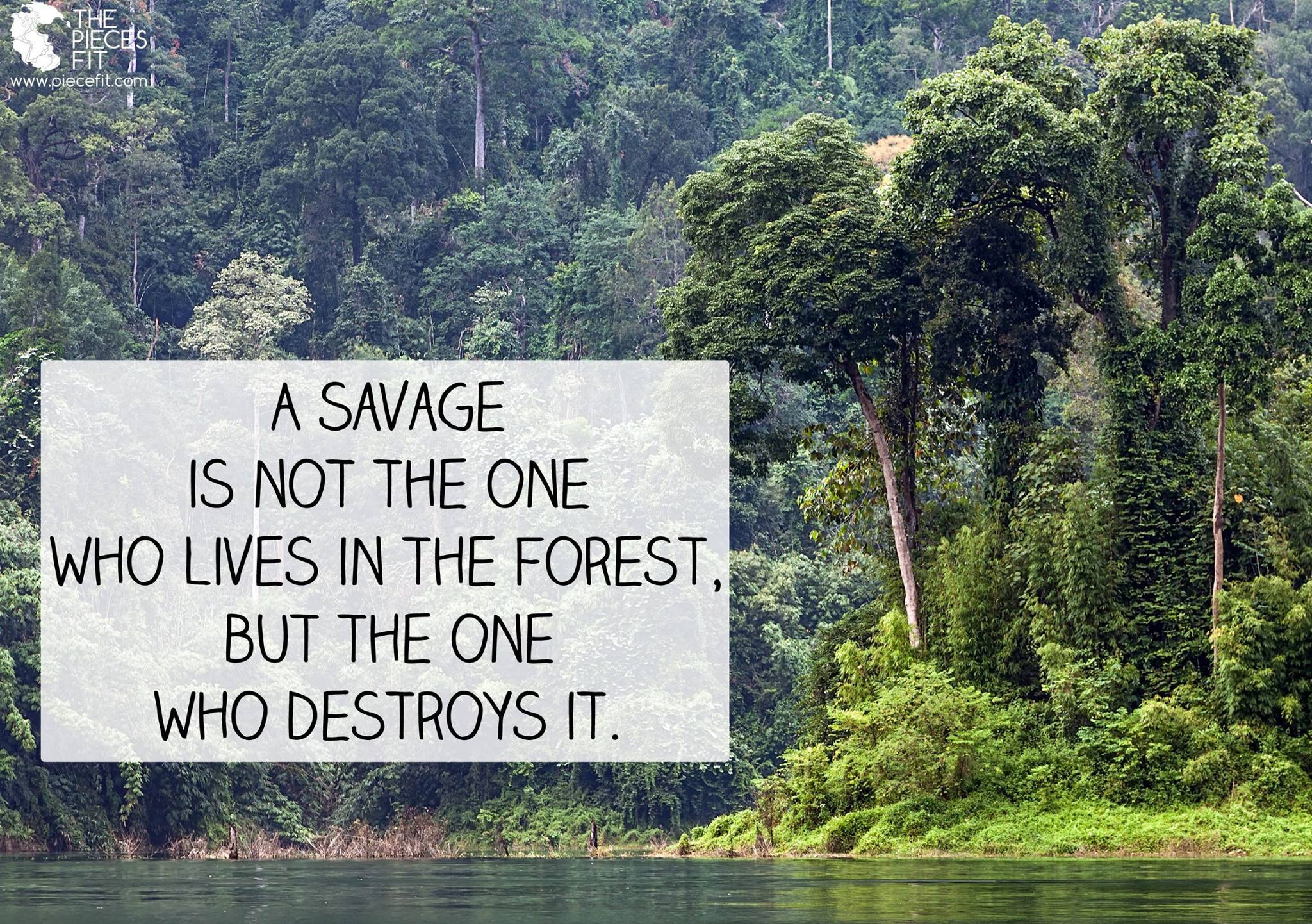 a savage is not the one who lives in the forest but the one who destroys it