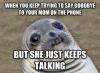 when you keep trying to say goodbye to your mom on the phone but she just keeps talking, awkward moment seal, meme