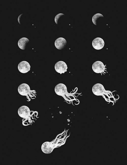 various cycles of the full moon and octopus