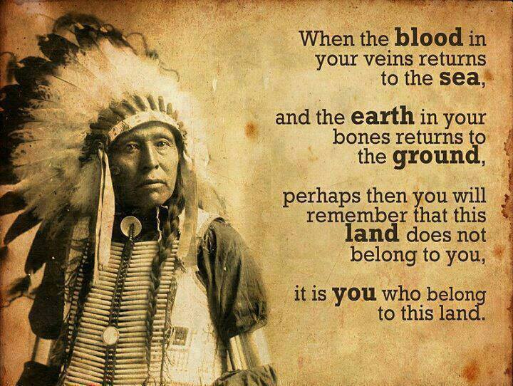 when the blood in your veins returns to the sea and the earth in your bones returns to the ground perhaps then you will remember that this land does not belong to you, it is you who belongs to this land