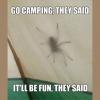 go camping they said, it'll be fun they said, big spider on side of tent