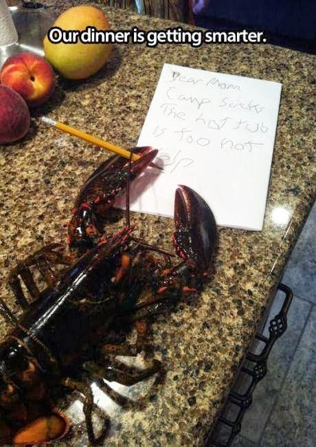 our dinner is getting smarter, lobster writing a note