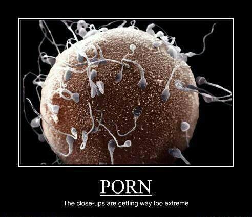 porn, the close ups are getting way too extreme, motivation, sperm around an unfertilized egg