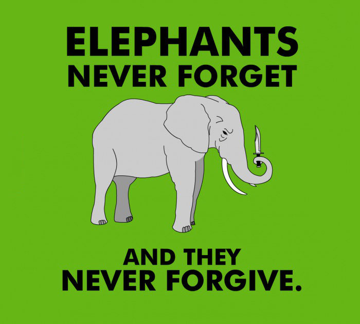 elephants never forget and they never forgive
