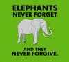 elephants never forget and they never forgive