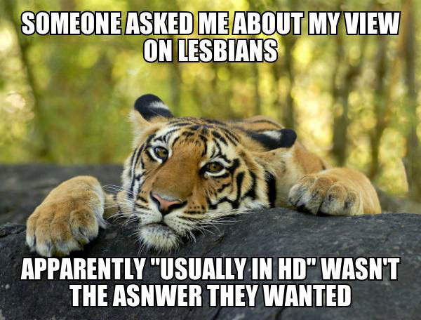 someone asked me about my view on lesbians, apparently "usually in hd" wasn't the answer they wanted, meme, tiger