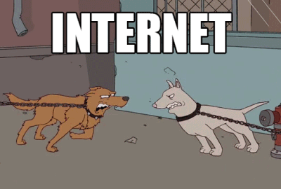 fights on the internet, two dogs decide against a fight after chains break
